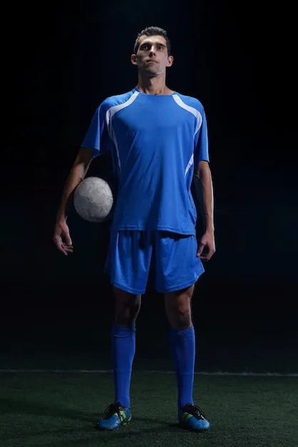 半岛体育应用中心 应用界面